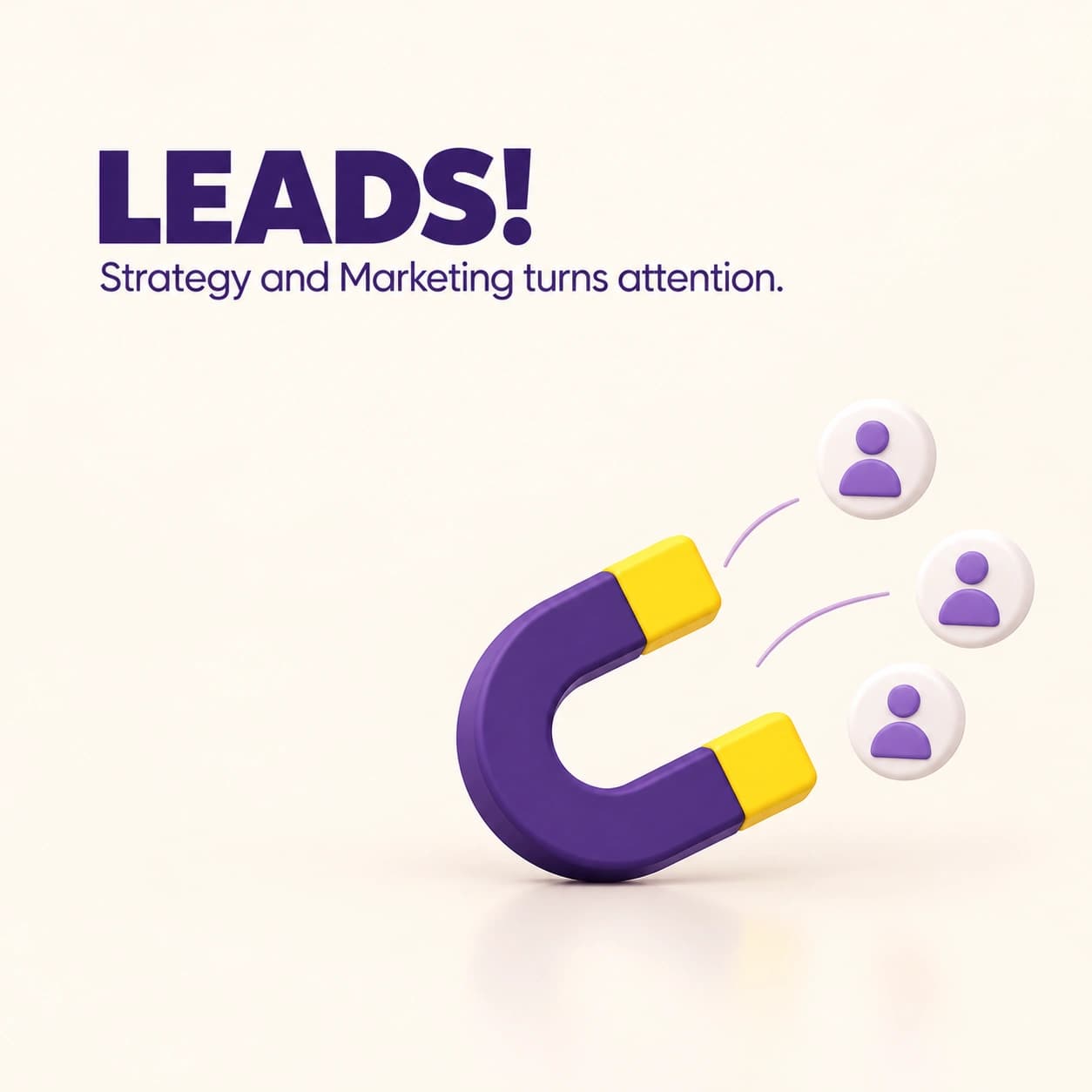 Leads project preview